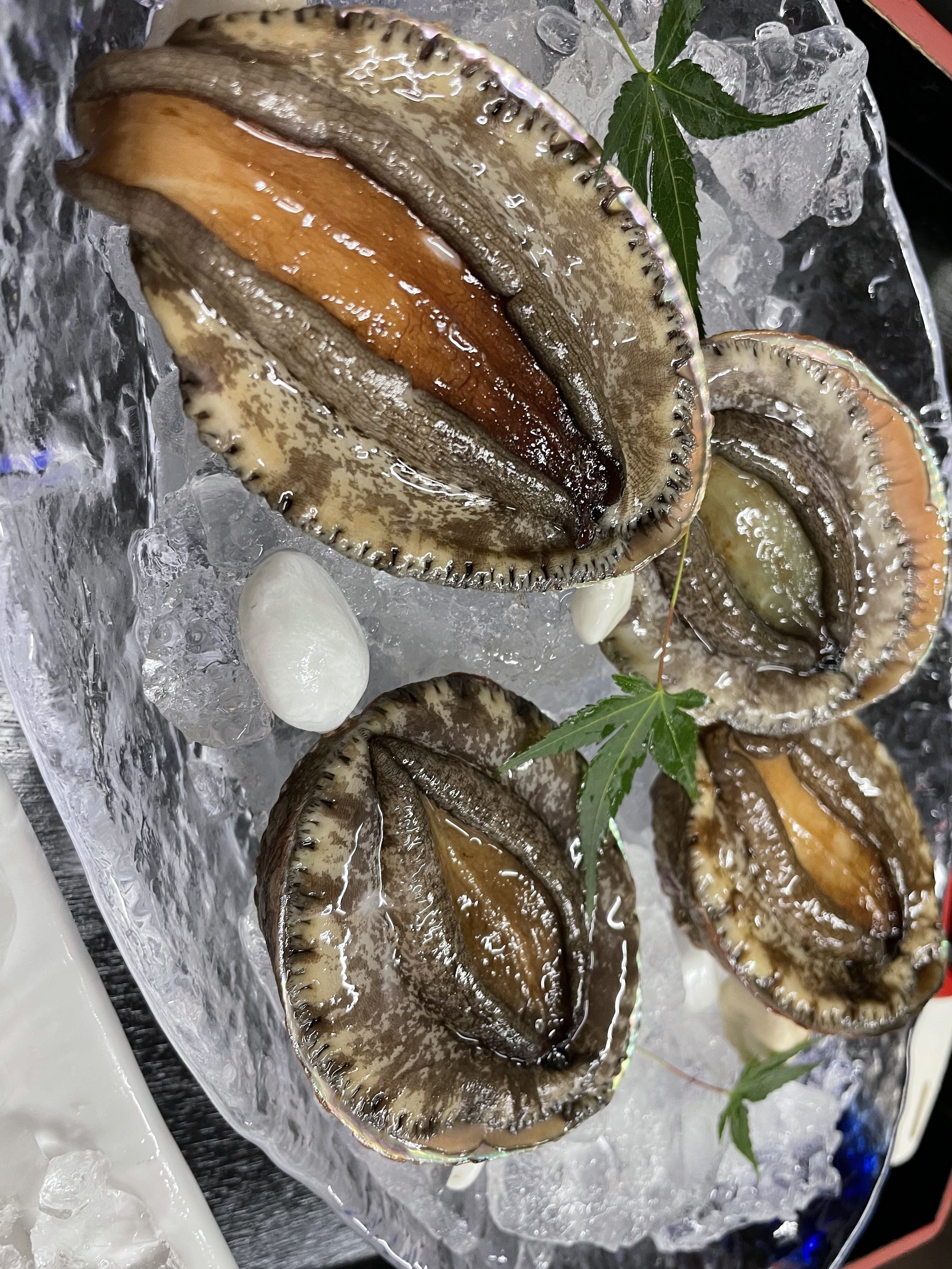 アワビ料理開始時期