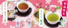 sakuracater.jpg