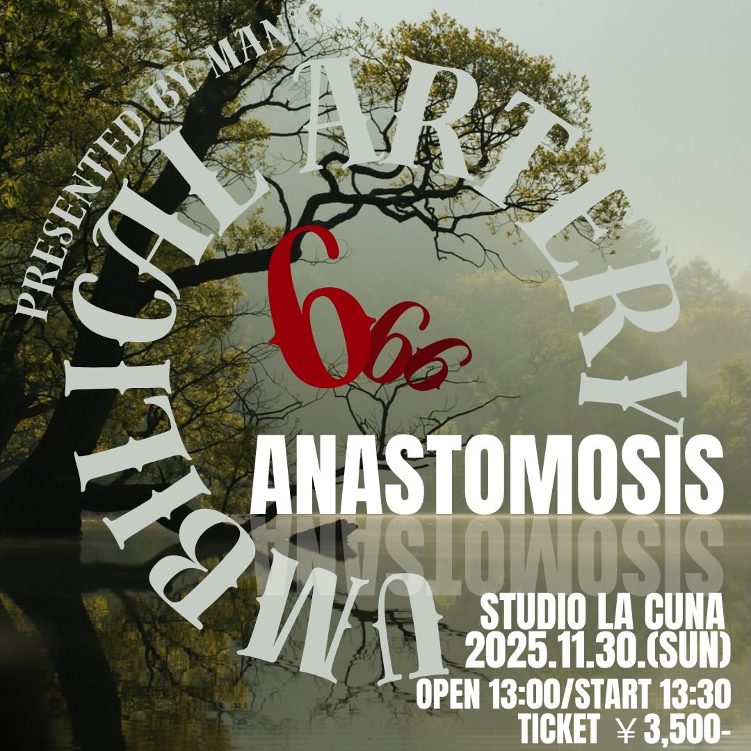 20251130ANASTOMOSIS_1.jpg