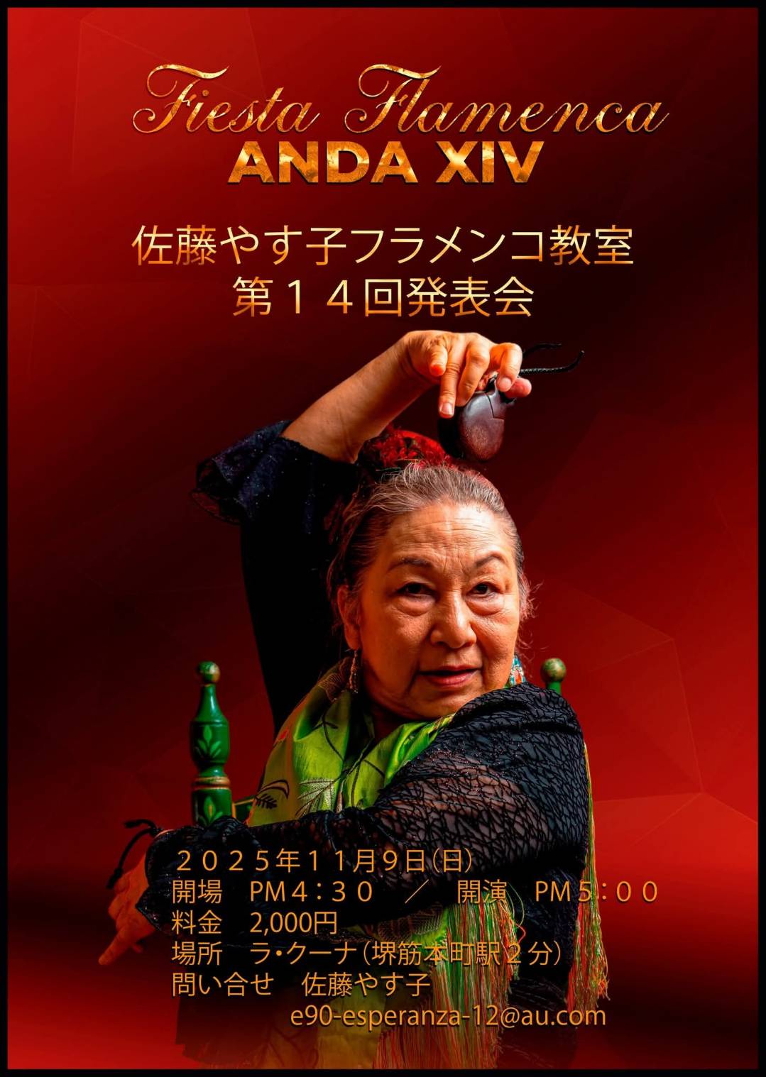 2025年11月9日(日)「Fiesta Flamenca ANDA ⅩⅣ 佐藤やす子フラメンコ教室 第14回発表会」開催※満席