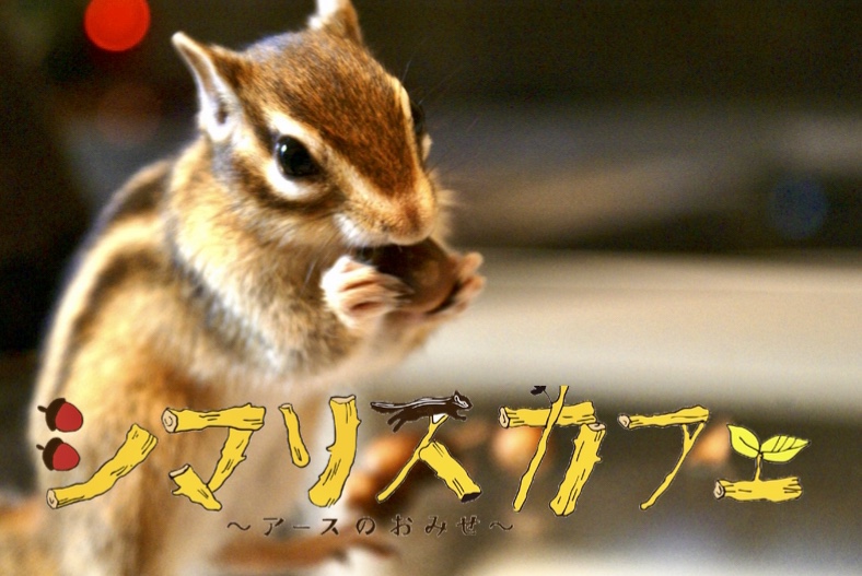 7/4(土)、7/5(日)のご予約状況のご案内♪