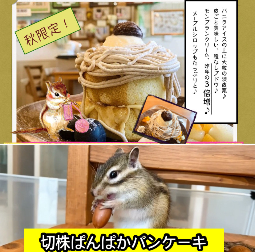 9月6日(土) 9月7日(日)のご予約状況