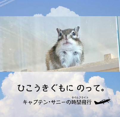 サニー・メモリアルブック新発売
