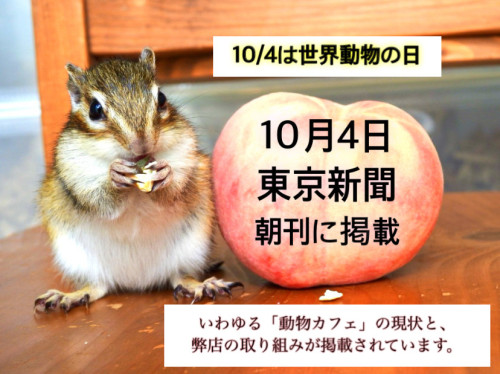 世界動物の日(新聞掲載のご報告)
