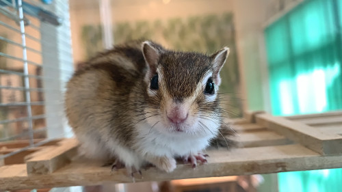 11月8日(土)11月9日(日)のご予約状況