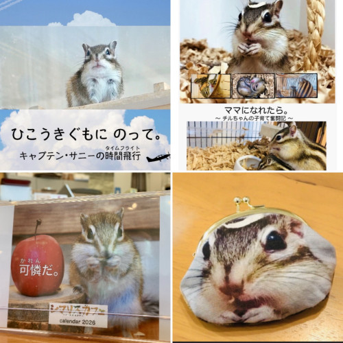 期間限定の通信販売〜12月2日まで