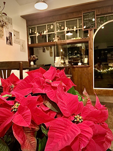 《クリスマス特別メニューのご案内》🎄満席御礼