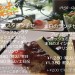 2016メニューCランチ 201609_ページ_01.jpg