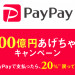 PayPay 2.png