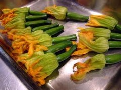 花ズッキーニ1.jpg