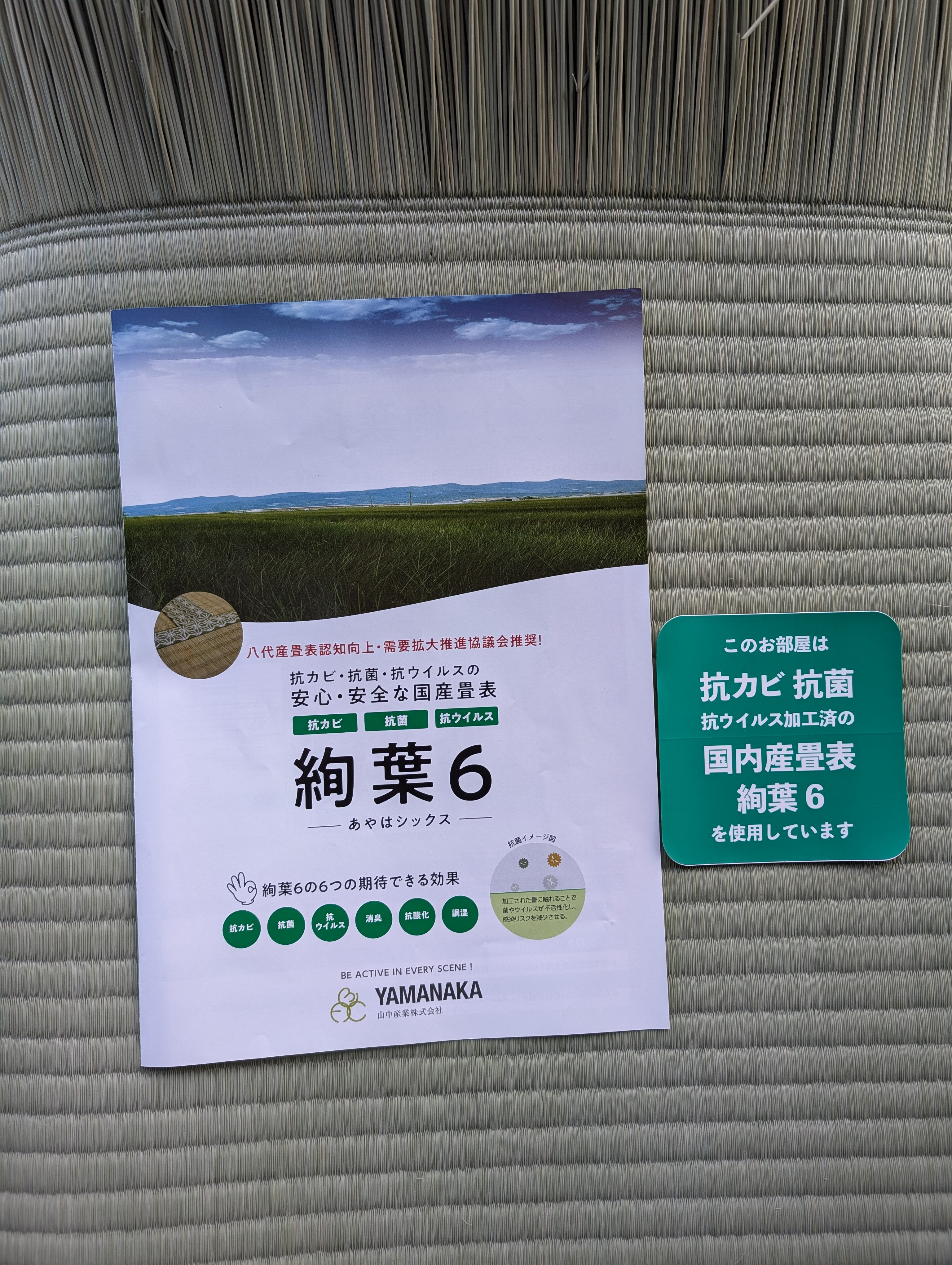 抗菌 坑カビ 坑ウイルスの畳表 絢葉6のご紹介