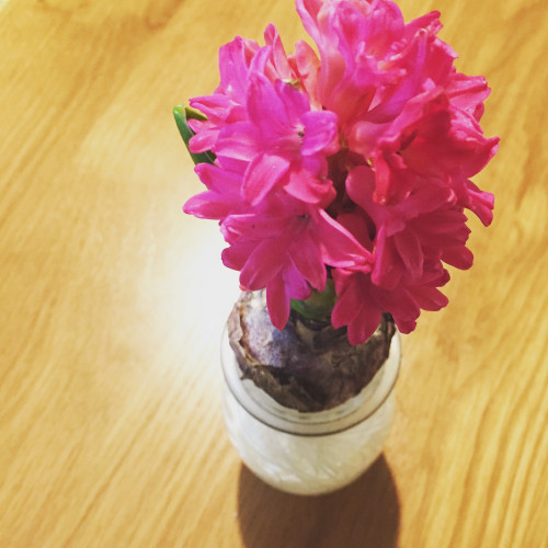 545523C8-19FE-400D-96F6-D8D132125140.jpeg