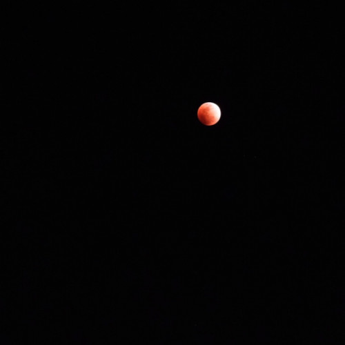01FEB256-B099-4EAC-8FB7-B5B157FA7C88.jpeg
