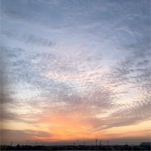 6D307F88-F68B-4A93-9EB9-FA38D366B102.jpeg