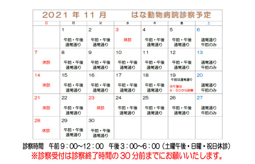 ー11月休診のご案内ー