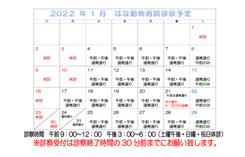 ー年末年始・1月休診のご案内ー