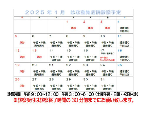 ー年末年始・1月休診のご案内ー
