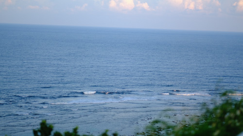 DSCF3961.jpg