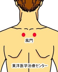 image.jpg