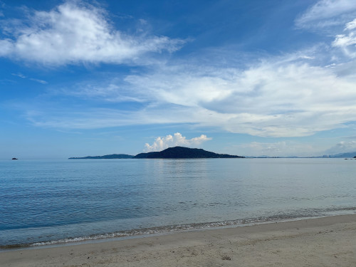 バナジュー飲む？