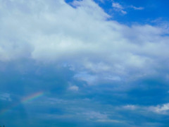 定休日中のペットホテルご利用について