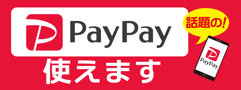 paypay導入キャンペーン
