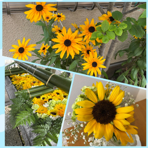 暑い夏のおくりもの 〜ひまわり🌻そして花火🎆