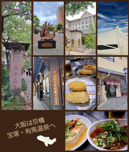 帰省・旅行中のピアノ練習どうする?初めてのロールピアノ🎹