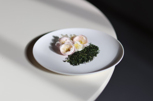 2026 梅花香玉緑茶販売開始日