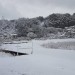 201702_1月15日の雪.jpg