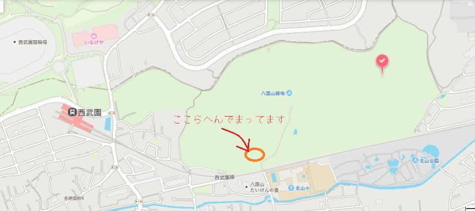 てんとうむしひろば@都立八国山緑地