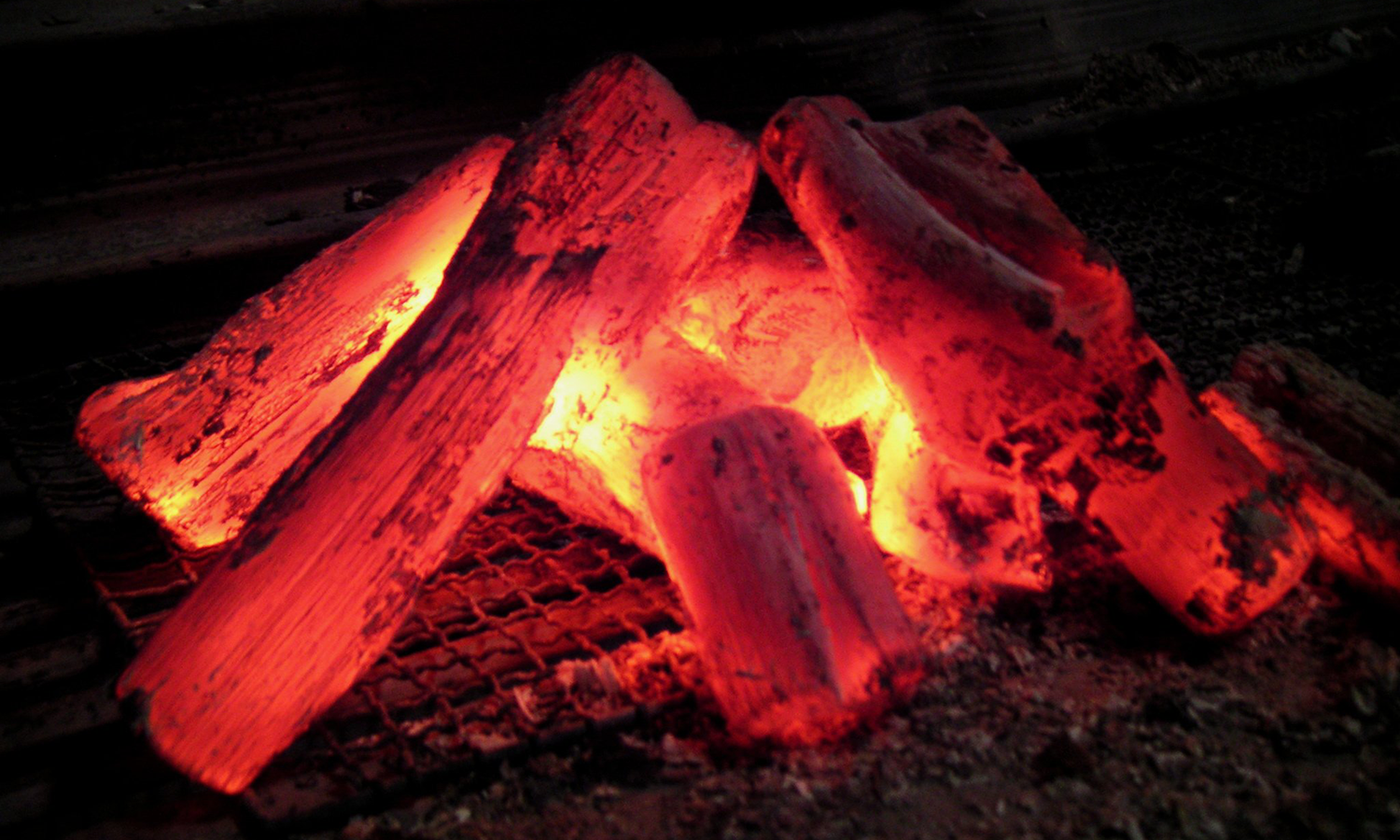 備長炭を使用した遠赤外線効果と高火力で焼肉を楽しめるのが魅力