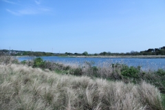 Sagamigawa04.JPG