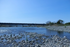 Sagamigawa05.JPG