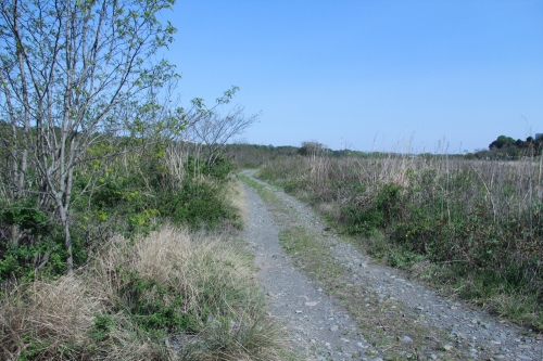 Sagamigawa15.JPG