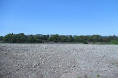 Sagamigawa17.JPG
