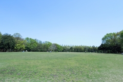 SagamiharaKoen01.JPG