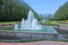 SagamiharaKoen03.JPG