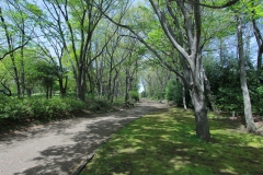 SagamiharaKoen11.JPG