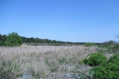 Sagamigawa09.JPG