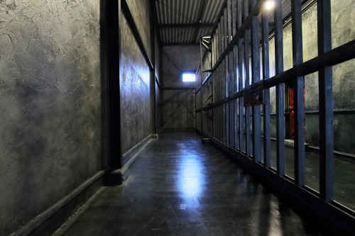 Cage02.JPG