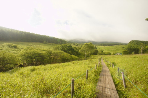 【イベント】5/19(火)-20(水)言事堂の読書会 in ヒュッテみさやま