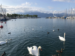 IMG_5708.JPG