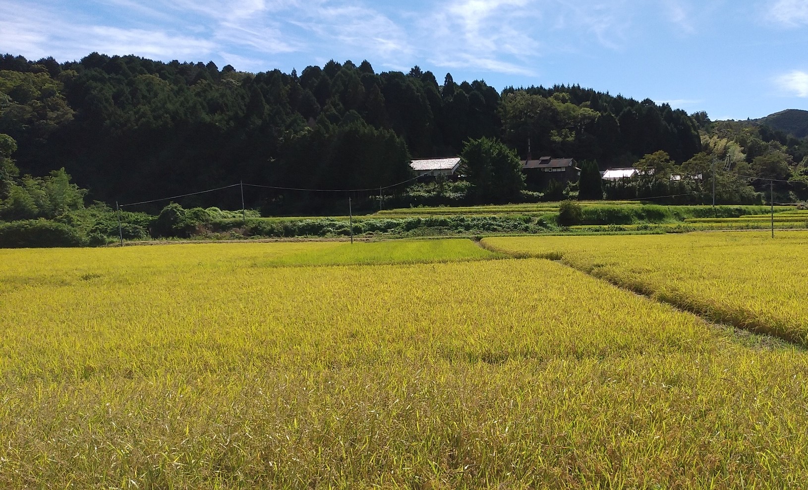 奈良の地酒 大和の彩り
(多山酒造合名会社 小売部)