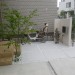 IMGP3090.JPG