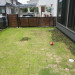 IMGP3798.jpg