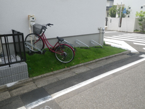 IMGP3799.jpg
