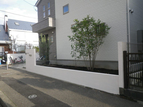 IMGP3896.JPG