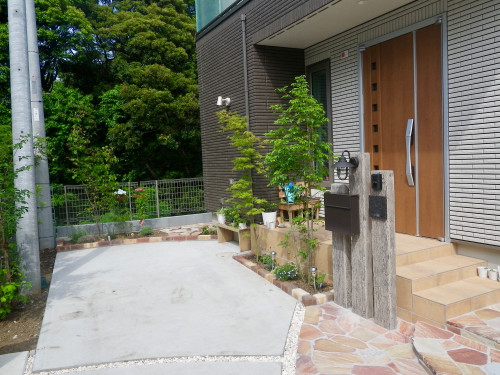 IMGP4172.jpg