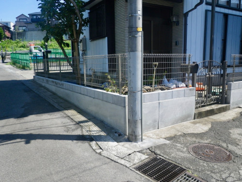 IMGP4281.jpg